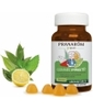 Gommes immunité Junior 60 Pranarôm