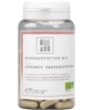 Harpagophytum Bio 120 gélules Belle et Bio