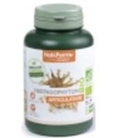 Harpagophytum bio 200 gélules Nat et Form