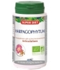 Harpagophytum bio 90 gélules marines Super Diet