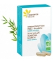 Harpagophytum Prêle Bambou Bio 40 Fleurance Nature