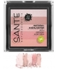 Highlighter N°2 Rose Sante