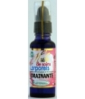 Huile Drainante Bio Phytofrance