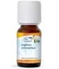 Huile essentielle Angélique archangélique Phytofrance