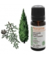 Huile essentielle bio Cyprès Florame