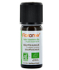 Huile essentielle bio Eucalyptus globulus Florame