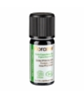 Huile essentielle bio Eucalyptus radiata 10ml Florame