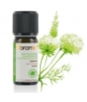 Huile essentielle carotte 5ml Florame