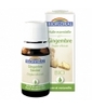 Huile essentielle de Gingembre bio Biofloral