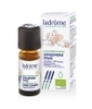 huile essentielle de Gingembre Ladrome
