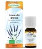 Huile Essentielle de Lavandin Grosso Phytofrance