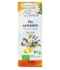 Huile essentielle de Pin Sylvestre aiguilles Bio Phytofrance
