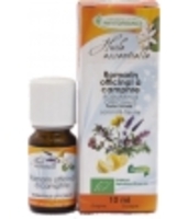 Huile essentielle de Romarin à Camphre Bio Phytofrance
