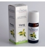 Huile essentielle d