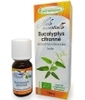 Huile essentielle Eucalyptus Citronné feuille Bio 10ml Phytofrance
