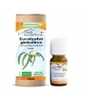 Huile essentielle Eucalyptus Globuleux Bio Phytofrance