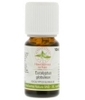 Huile essentielle Eucalyptus globulus Bio Herboristerie De Paris