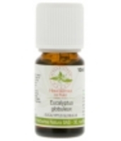 Huile essentielle Eucalyptus globulus Bio Herboristerie De Paris