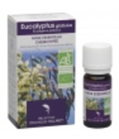 Huile essentielle Eucalyptus Globulus Dr Valnet