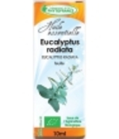 Huile essentielle Eucalyptus Radiata Bio 10 ml Phytofrance