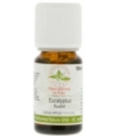 Huile essentielle Eucalyptus radiata Bio Herboristerie De Paris