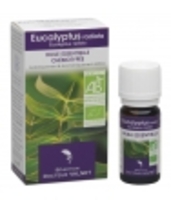 Huile essentielle Eucalyptus Radiata Dr Valnet