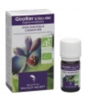 Huile essentielle Giroflier (clou de) Dr Valnet