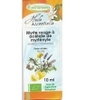 Huile essentielle MYRTE ROUGE BIO Phytofrance