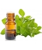 Huile essentielle Origan à inflorescences compactes Phytofrance