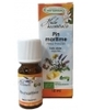 Huile essentielle Pin Maritime Aiguilles bio Phytofrance