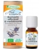 Huile essentielle Romarin officinale à Verbénone CT3 Phytofrance