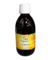 Huile végétale de Calophyllum BIO Phytofrance