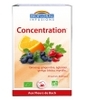 Infusion Elixir Concentration Vitalité Energie Biofloral