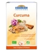 Infusions Curcuma Bio 20 Biofloral