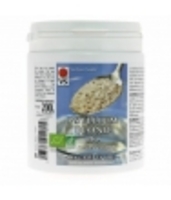 Ispaghul psyllium blond Vecteur Sante