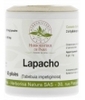 LAPACHO ECORCE 250 MG 60 Herboristerie De Paris