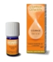 Les Quantiques Olfactifs Courage Deva Laboratoire