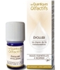 Les Quantiques Olfactifs Evoluer Le chemin de la transformation Deva Laboratoire