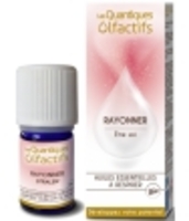 Les Quantiques Olfactifs Rayonner Être soi Deva Laboratoire