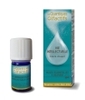 Les Quantiques Olfactifs Vie Intellectuelle Deva Laboratoire
