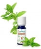 Menthe poivrée BIO Puressentiel