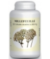 Millefeuille plante fleurie 200 MG 200 GPH Diffusion