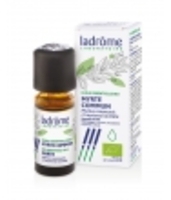 Myrte commun bio Ladrome