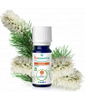 Niaouli BIO Puressentiel