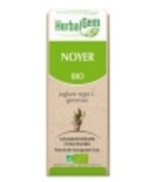Noyer bio Flacon compte gouttes Herbalgem Gemmobase