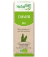 Olivier bio Flacon compte gouttes Herbalgem Gemmobase