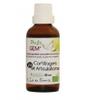 Phytogem No 23 Cartilage et Articulations Bio Phytofrance