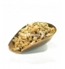 Pin Sylvestre Bourgeon Herboristerie De Paris