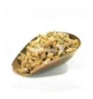 Pin Sylvestre Bourgeon Herboristerie De Paris
