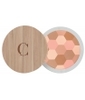 Poudre mosaique n°232 teint Couleur Caramel